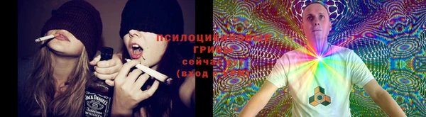 спайс Покров