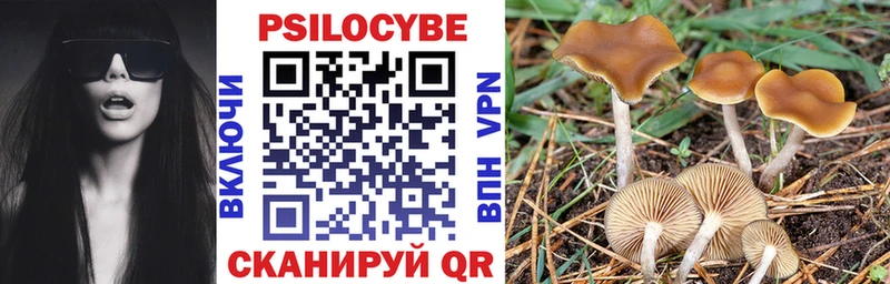 сайты даркнета наркотические препараты  Кропоткин  Псилоцибиновые грибы GOLDEN TEACHER 