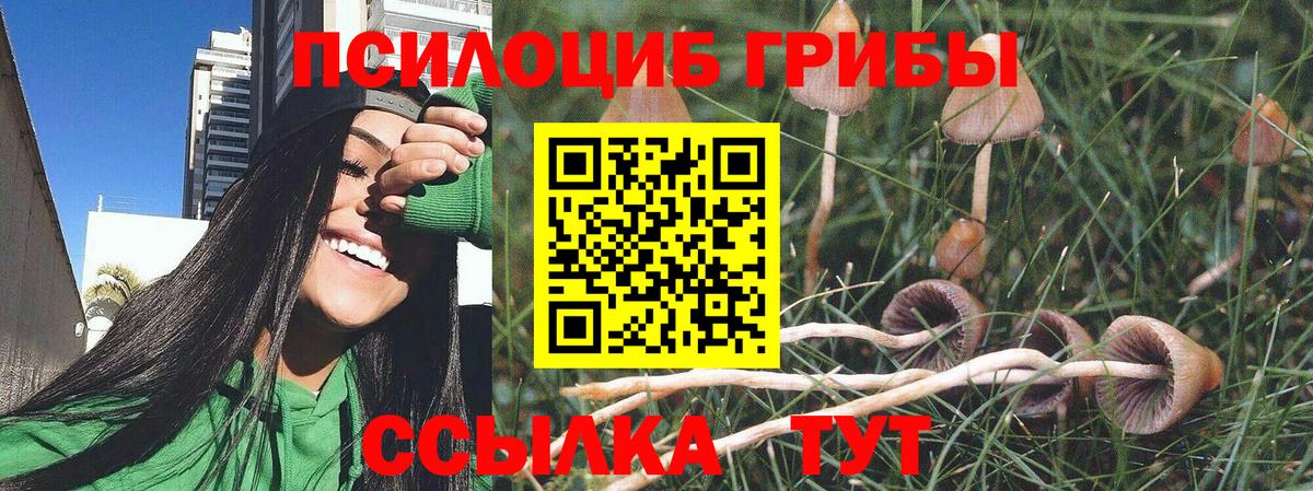 Кропоткин  Галлюциногенные грибы GOLDEN TEACHER  Вход с VPN  Псилоцибиновые грибы прущие грибы 