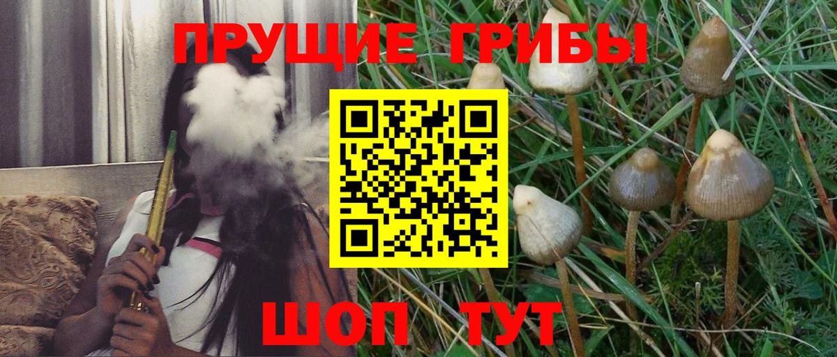 Галлюциногенные грибы Cubensis Кропоткин
